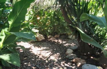 Casas Amaro - Foto 128