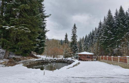 Rodzinny Dom Wypoczynkowy - Foto 9