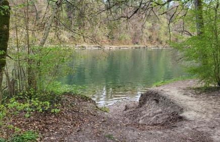 Whole Apartment Marechal near zurich airport free Parking Wifi - Foto 25