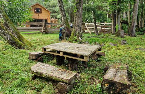 Przystań Zakapiora - Foto 41