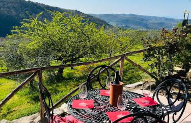 Charming Tuscan Suite with Pool 2 to 5 persons Lamole Greve in Chianti - Foto 6