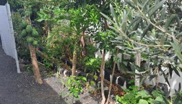 Las vistas - Photo 3