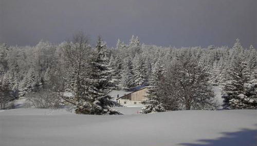 Chalet cosy en bordure de forêt avec wifi, terrasse et équipements complets à Rochesson - FR-1-589-235 - Foto 2