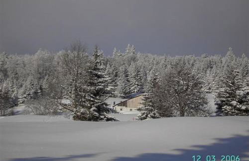 Chalet cosy en bordure de forêt avec wifi, terrasse et équipements complets à Rochesson - FR-1-589-235 - Foto 2