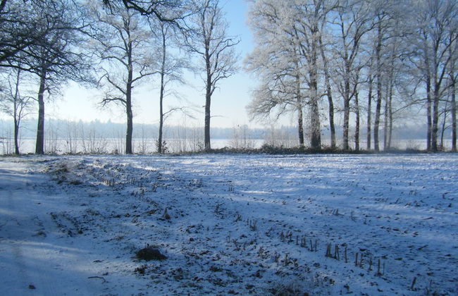 Holiday Home in Heeten Near Forest Trails - Foto 30