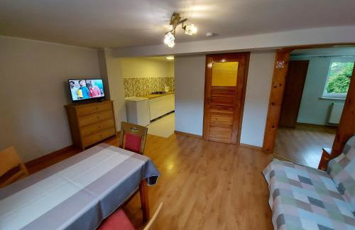 Agroturystyka Pod Klonem - Foto 49