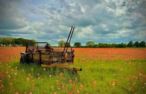 3 Bedroom House 5 Min Walk to Square - Foto 15