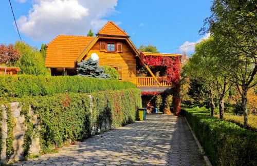 Family friendly house with a swimming pool Gornja Voca, Zagorje - 11873 - Foto 14