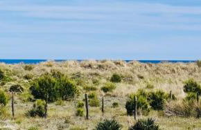 Un petit Paradis, 5 minutes à pied plage Robinson, terrasse, parking privé, WIFI, vue sur dunes et mer, très ressourçant, à Marseillan Plage - Photo 9
