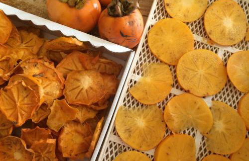 Depandance Cascina Vicentini - Foto 38