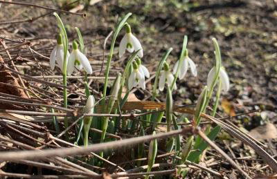 Agro na Wapniarni - Foto 37