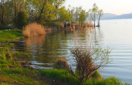 The Gulf Villa - Lago Maggiore - Foto 70