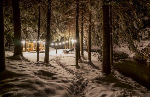 Novosiele Residence - nad górską rzeką - Leśne Spa sauna jacuzzi - Bieszczady - Foto 67