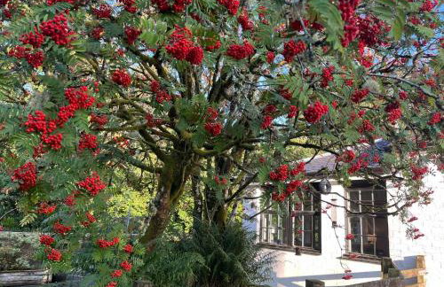 Old Powdermill Cottage - Foto 23