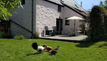 Farm accommodation - The Lizard Peninsula, Cornwall - Foto 2, Garden