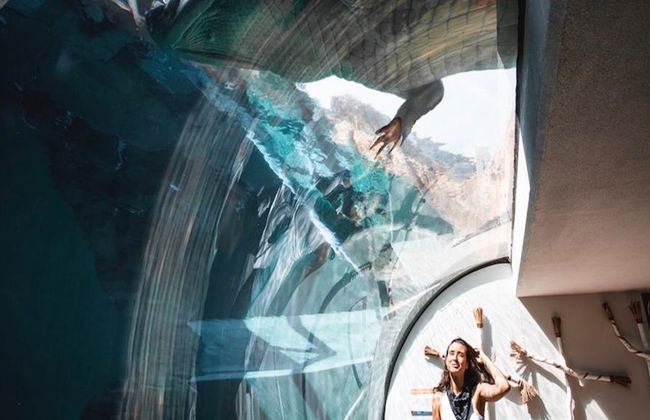 Crocosaurus Cove General Admission Tickets - Photo 6