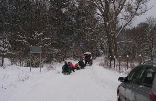 Winnica Na Leśnej Polanie - Foto 13