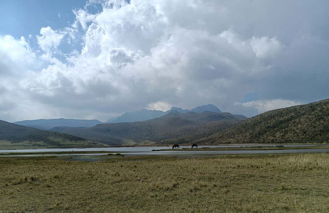 Excursión a Cotopaxi y el mirador de Quilotoa - Foto 7