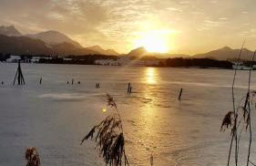 Haus Magnolia - Foto 5