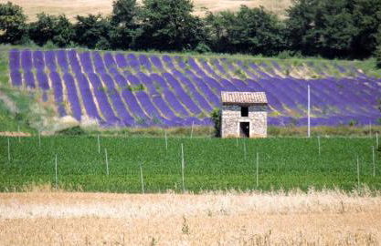 Lou Cigalou - Au Calme - Grand Jardin - Piscine Partagée - Parking - Campagne et Idéalement Situé Proche A7 et Montélimar - Foto 75