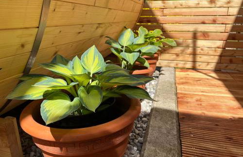 Tiny House Gänseblümchen - Photo 25