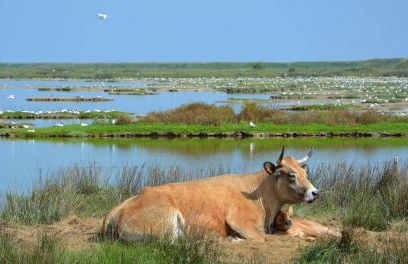 Maison Bord de mer à Noirmoutier - Photo 24