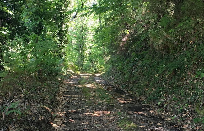 Sunrise Pelion Villas Sea View - Photo 18