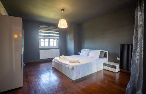 Τraditional fully detached villa on a luxurious hillock of Thessaloniki with its own garden also for family & wedding gatherings for 10 to 25 people only 15 minutes from airport - Foto 71