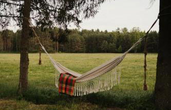 Sztuka Lasu - Foto 14