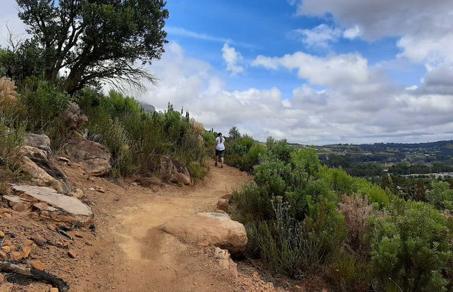 Senderismo por el valle de Banhoek + Visita a una bodega - Foto 3