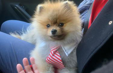 Casa vacanze fra gli ulivi - Foto 21