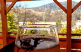 Góralska Chata & Spa - Foto 43