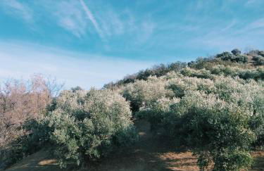 Le Briganti - Foto 31