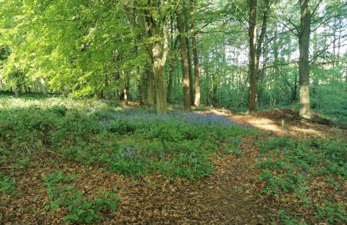 Fern Lodge - Foto 18