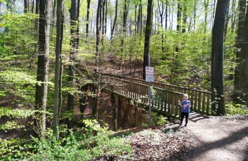 Ferienwohnung am Teutoburger Wald 1 - Foto 11