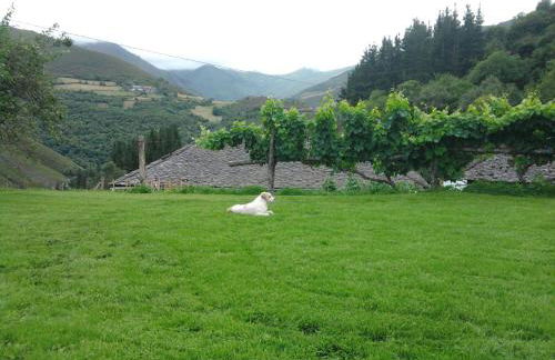 Apartamentos El Valledor - Foto 29