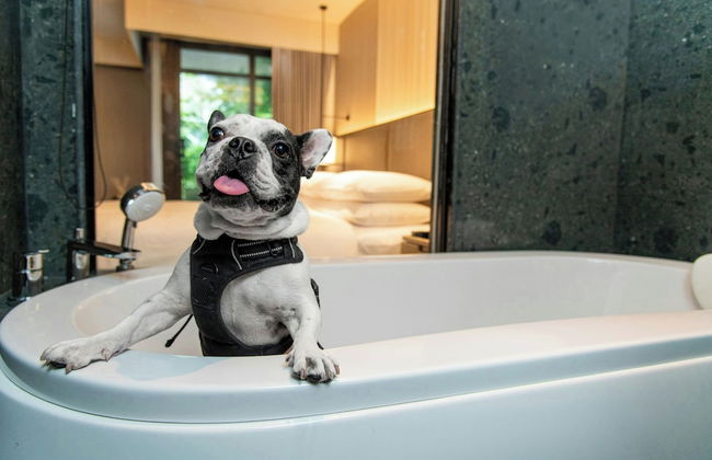 Marriott Executive Apartments, Bangkok Townhall Sukhumvit - Foto 47