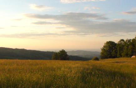 La Collina Zocca - Foto 15