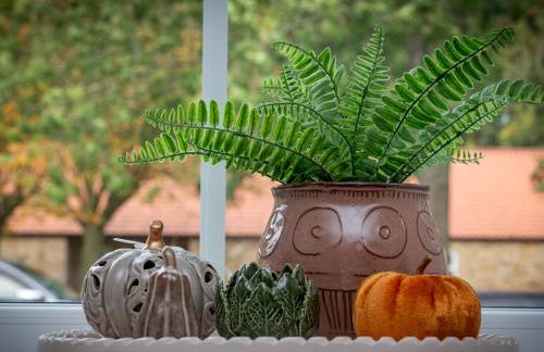 Pass the Keys Foxglove Cottage – Cosy Countryside Retreat - Foto 16