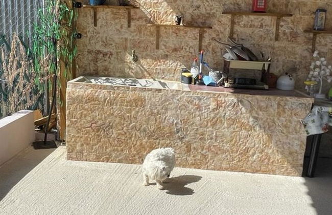 Ecological Studio Flat in Kalyvia Thorikou, Greece - Foto 40