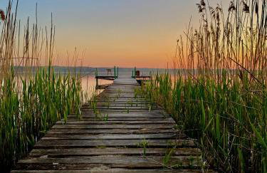 Wilcza Stodoła - Foto 29