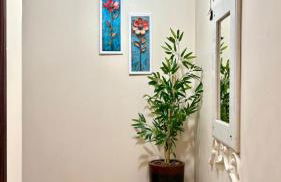 3D apartment, central - prox UFN - Foto 13