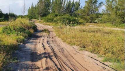 Arubinha Buggy Tour - Foto 3