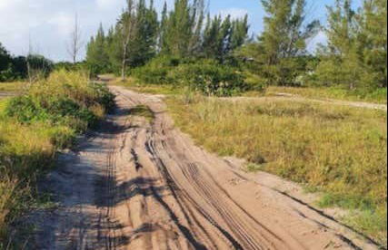 Tour de buggy por Arubinha - Foto 7