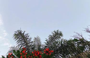 Sítio Pand'Oro - Foto 20