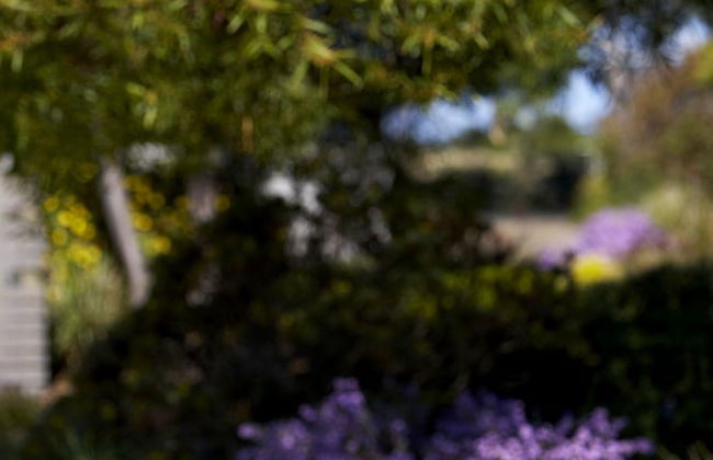 Club Wyndham Seven Mile Beach - Foto 56