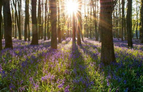 Gorgeous Kippford Home With Outstanding Views - Pass the Keys - Photo 24