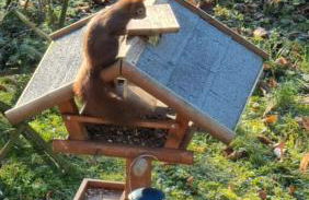 Ferienwohnung Streckhofidylle - Foto 6