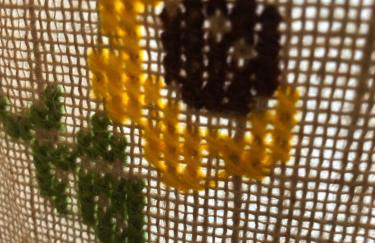 Alojamiento LA DUQUESITA - Foto 15