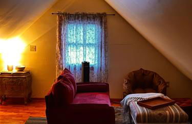 Cozy Tiny Haus Apt - Foto 10